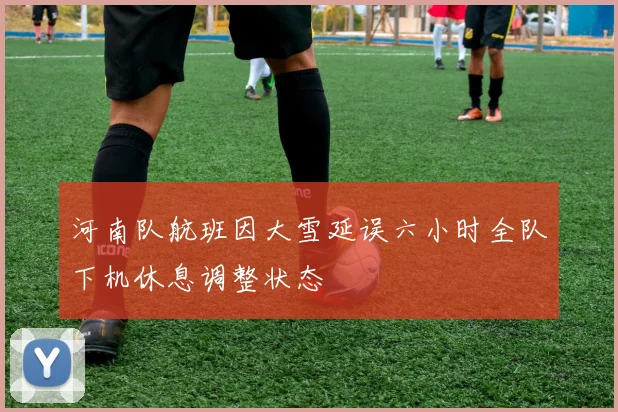 河南队航班因大雪延误六小时全队下机休息调整状态