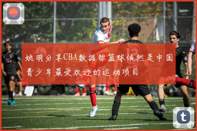 姚明分享CBA数据称篮球依然是中国青少年最受欢迎的运动项目