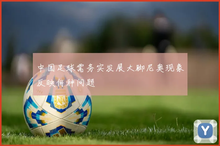 中国足球需务实发展大脚尼奥现象反映何种问题