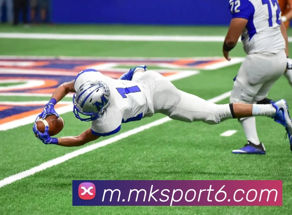 MK体育平台生态图